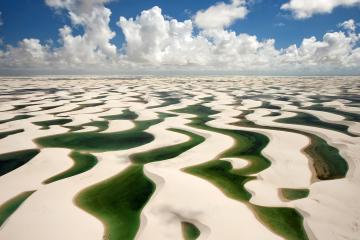 开云体育平台APP-内外双线统治！尼克斯稳压骑士，恩比德再证MVP含金量