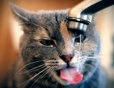 开云体育-双城记，当伯纳乌的草皮震颤，斯台普斯的地板在燃烧