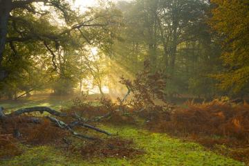 开云体育在线-破晓2026，当佩德里为传奇重新计时