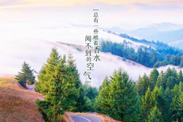 开云体育中国-绿茵与引擎的虚幻主宰，当库尔图瓦在赛道接管F1争冠战