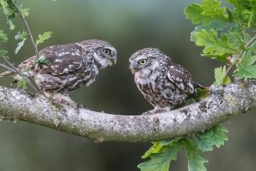 开云体育APP下载-奇才上演魔幻剧本，极致战术封锁让公牛愤怒撞墙