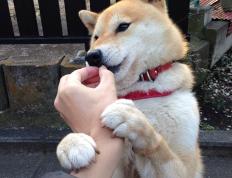 开云体育app-逆转时刻，巴西末节发力带走胜利，安哥拉虽败犹荣