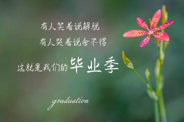 开云体育app-东契奇独舞提前终结悬念，国王团队发力击溃爵士