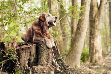 开云体育登录-本泽马替补绝杀！瑞典球队惊险逆转毕尔巴鄂