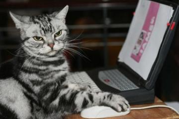 开云体育-帕尔默之夜，东决关键战的绝对主宰