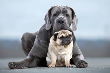 开云体育平台APP-天山脚下，里程碑与铁肘齐飞