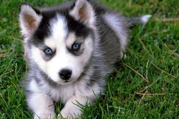 开云体育-德布劳内，黄金中场的魔法，引领比利时破浪前行