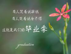 开云体育官方网站-尼克斯狂胜开拓者巩固季后赛席位，詹姆斯关键战统治攻防续写传奇