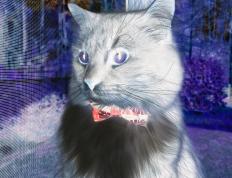 开云体育下载-奇才强行终结湖人，范弗利特点燃赛场，一场逆袭的篮球盛宴