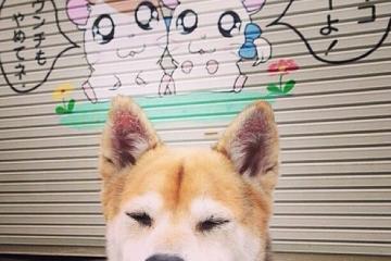 开云体育在线-暗夜利爪，达龙·福克斯的季后赛掌控时刻