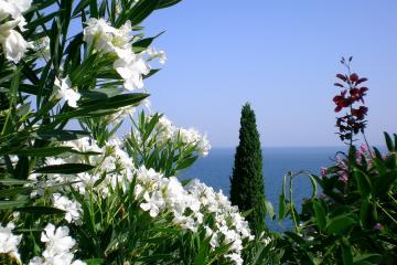 开云下载-实力铸就传奇，绝杀定义瞬间，体育竞技的永恒交响