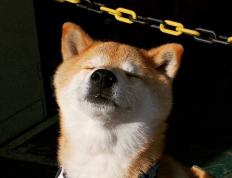 开云体育在线-爱德华兹狂飙秀！广东队血战魔术，单节24分演绎个人英雄主义与团队博弈