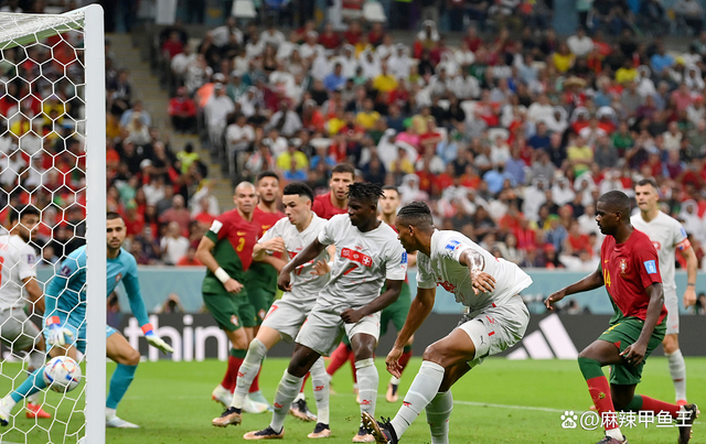 开云平台-瑞士横扫丹麦，布鲁诺完成帽子戏法的简单介绍