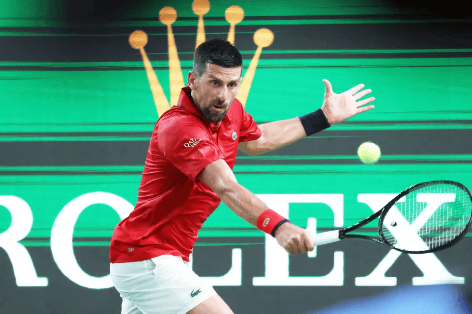 开云体育中国-拉沃尔杯力克ATP总决赛,德约科维奇扛起全队