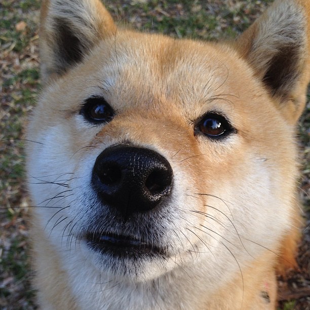 开云体育官网-铁壁之下,艺术之上,布鲁诺如何用防守谱写了一首无声的咏叹调