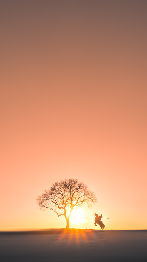 开云体育-英格拉姆攻防两端统治赛场,湖人队力克广厦队展现NBA风采