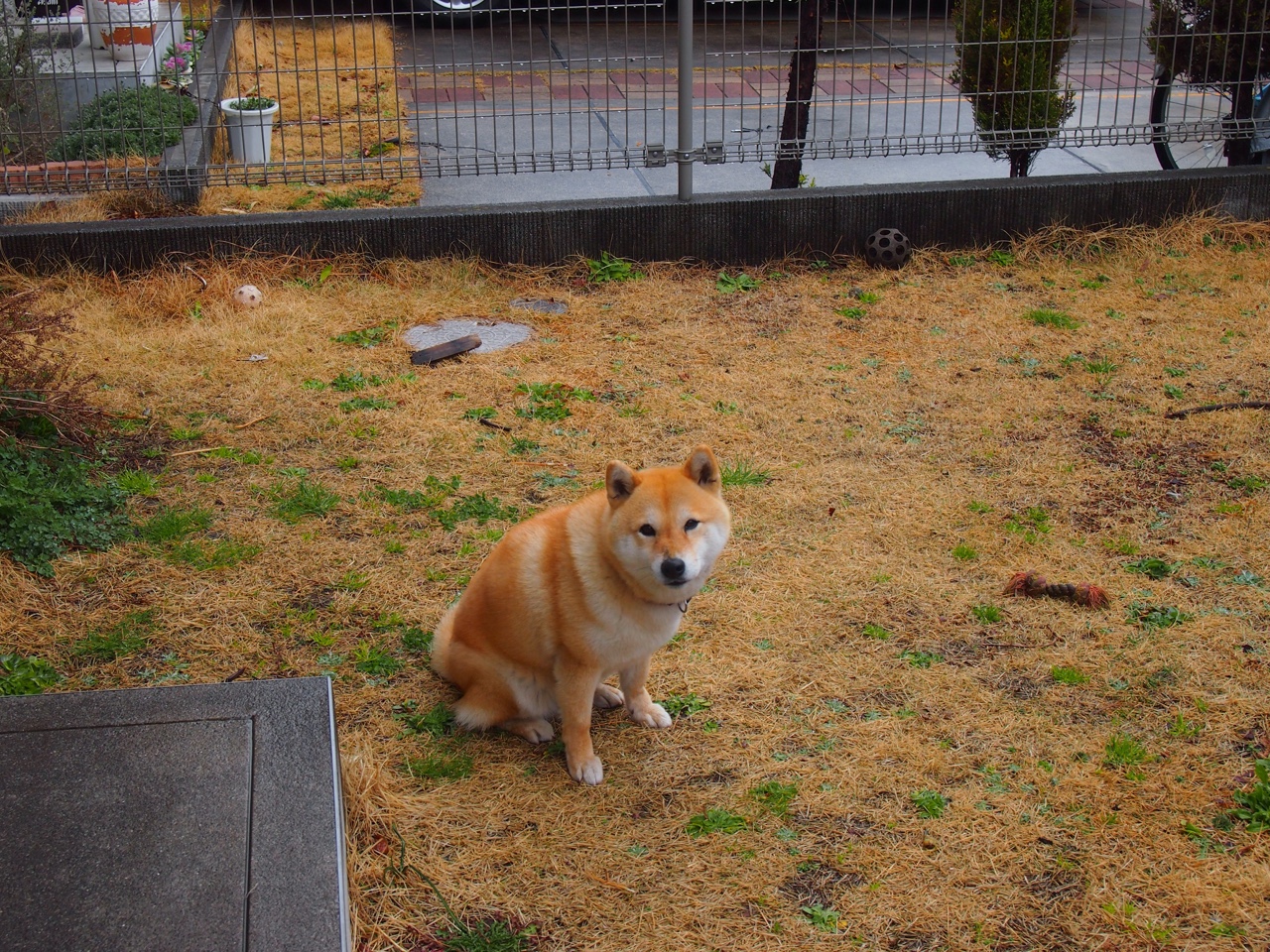 开云官网-马丁内利光芒四射,玻利维亚爆冷斩落比利时,足球世界的奇迹之夜