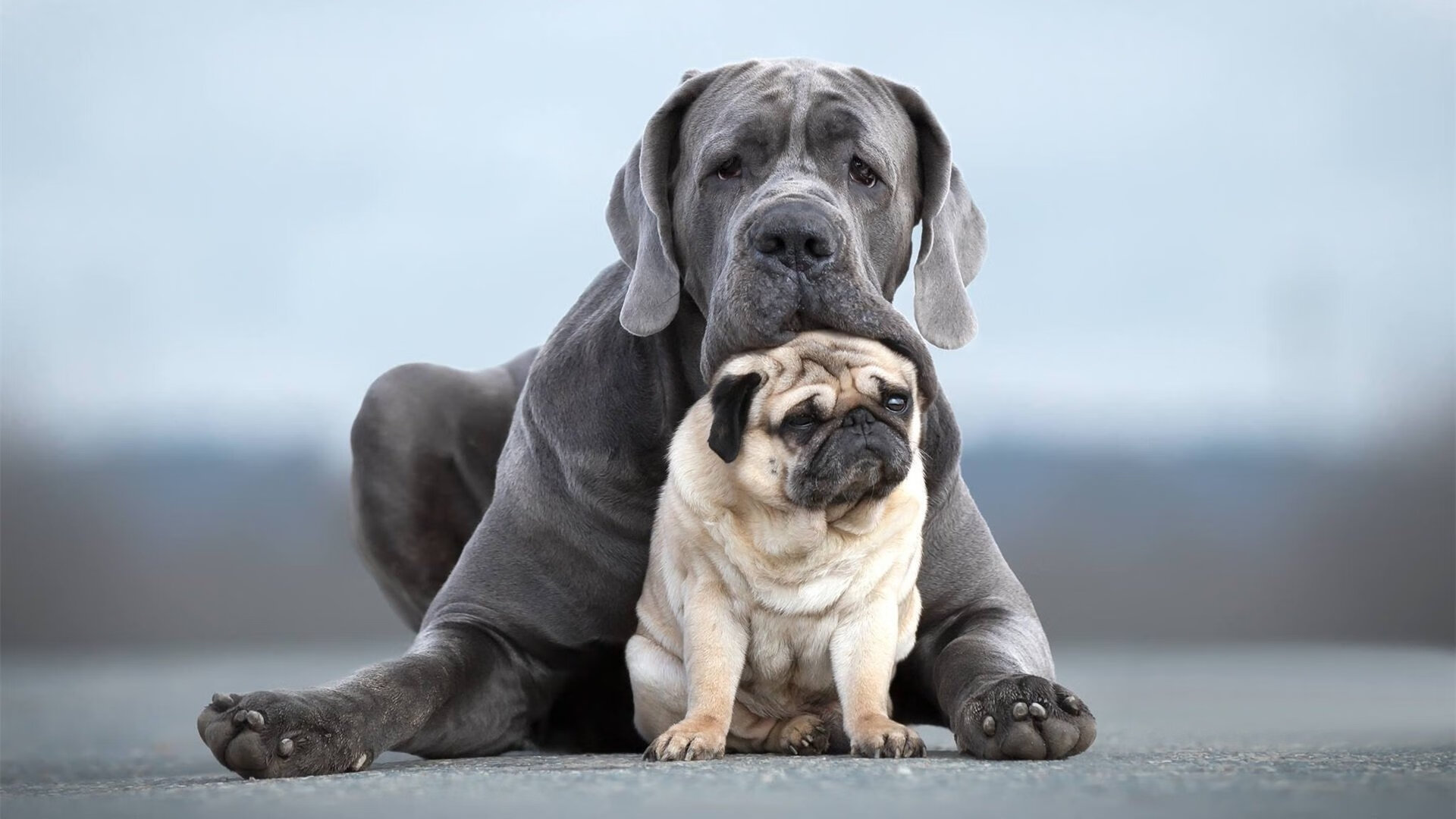 开云体育平台APP-天山脚下，里程碑与铁肘齐飞