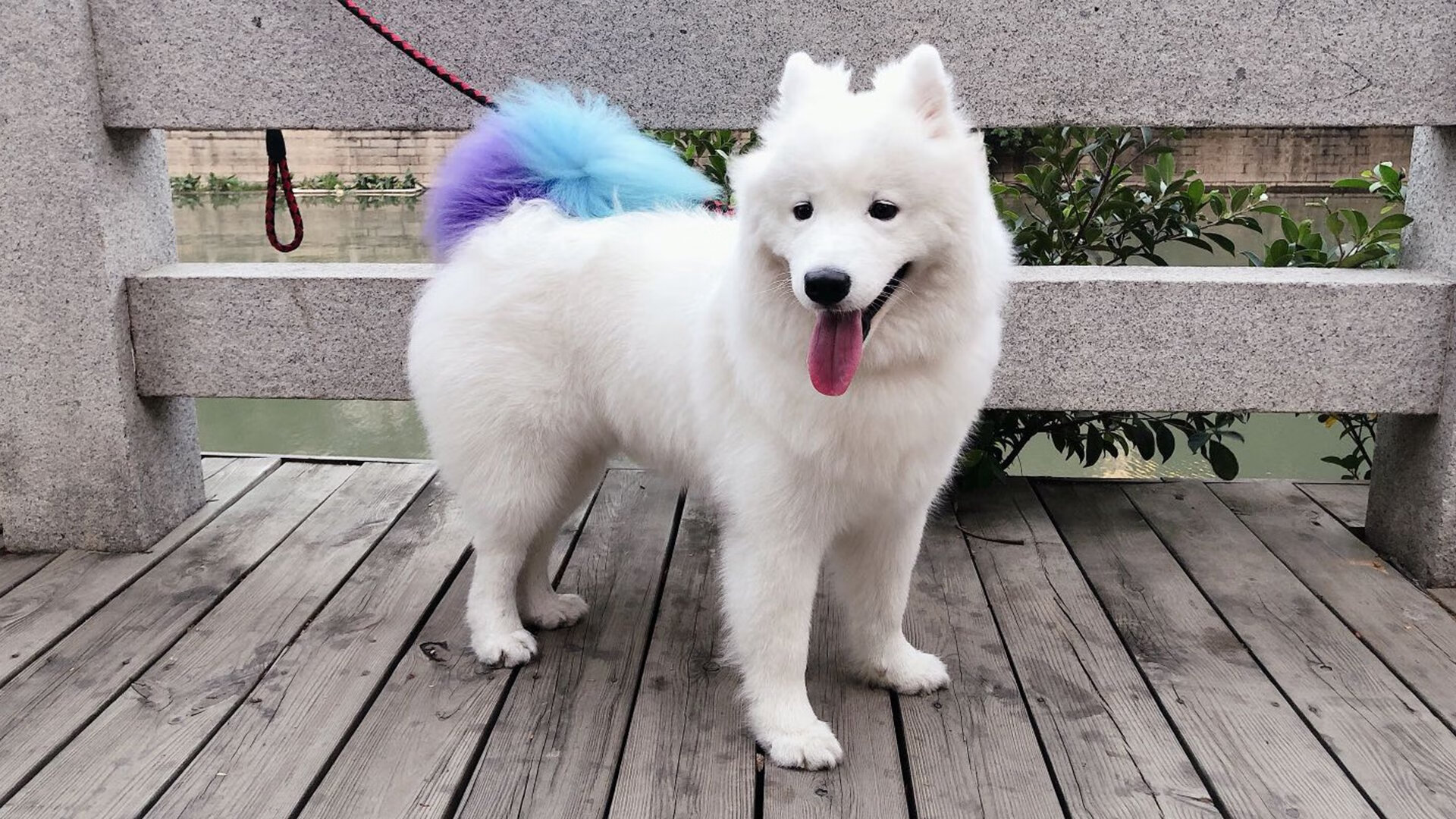 开云体育在线-石匠之心与不熄引擎，贝恩的稳定与马刺的压哨绝杀