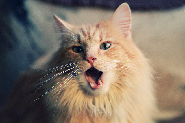 开云体育-意甲焦点战之夜,富安健洋诠释何谓硬仗之王