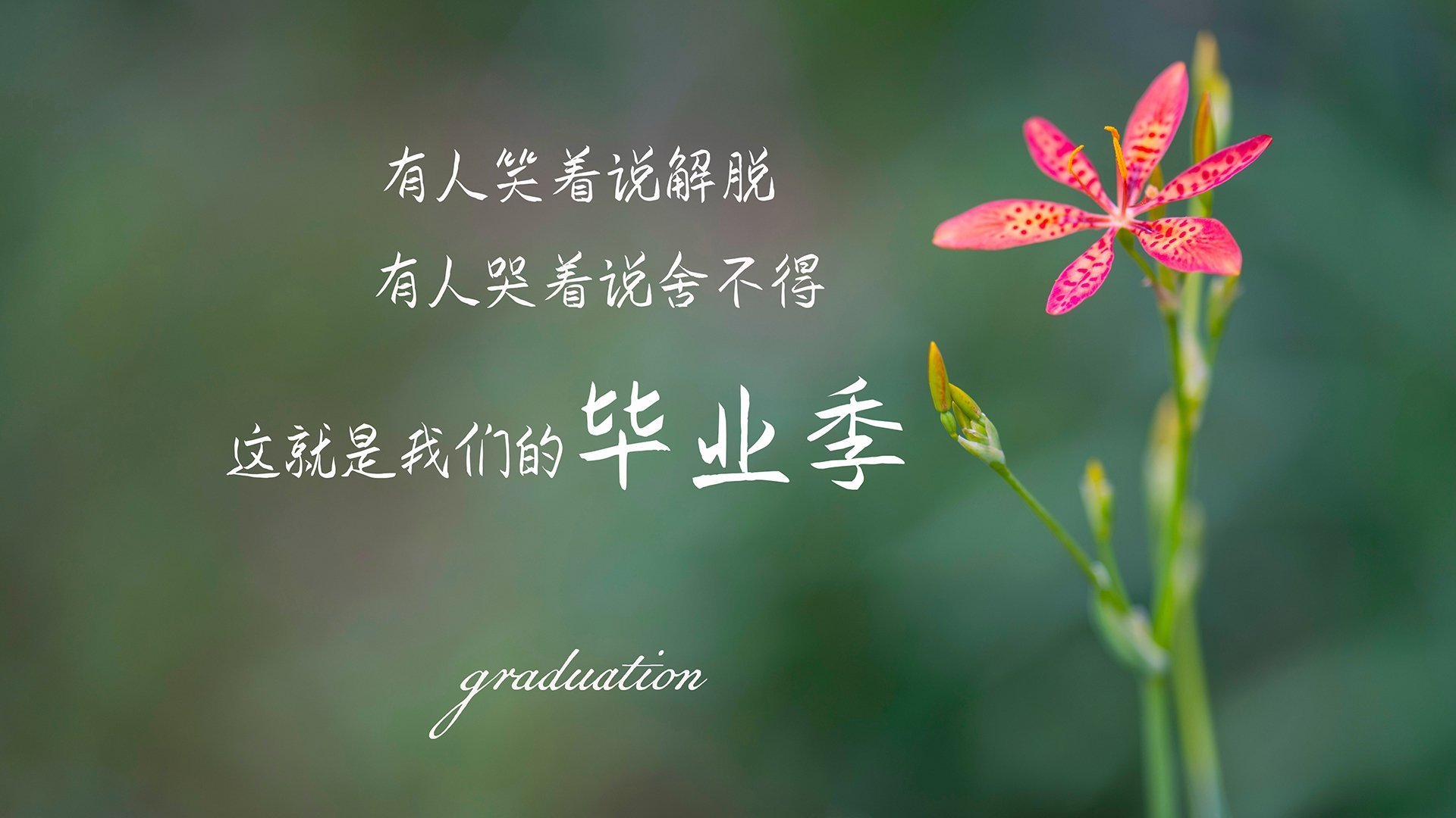 开云体育官方网站-尼克斯狂胜开拓者巩固季后赛席位,詹姆斯关键战统治攻防续写传奇