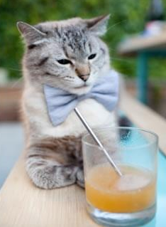 开云体育下载-北非风暴席卷北美，阿尔及利亚战术封锁终结墨西哥世界杯征程