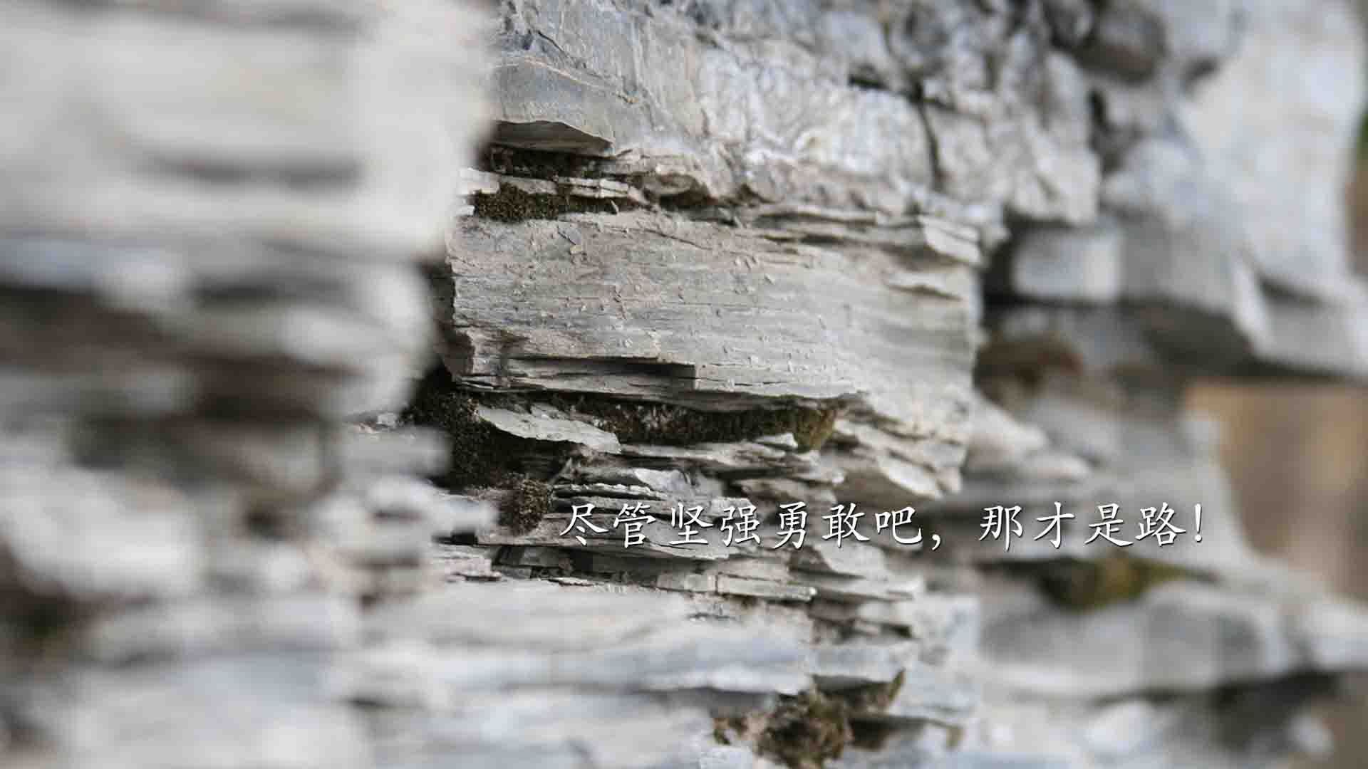 开云体育平台APP-冰火两重天，克瓦拉茨赫利亚单骑闪耀，瑞士压哨绝杀刺痛中国