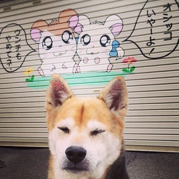 开云体育在线-暗夜利爪，达龙·福克斯的季后赛掌控时刻