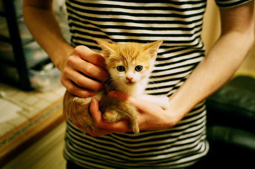 开云体育官方网站-囚笼之舞，格列兹曼的密钥，破解巴西铁壁